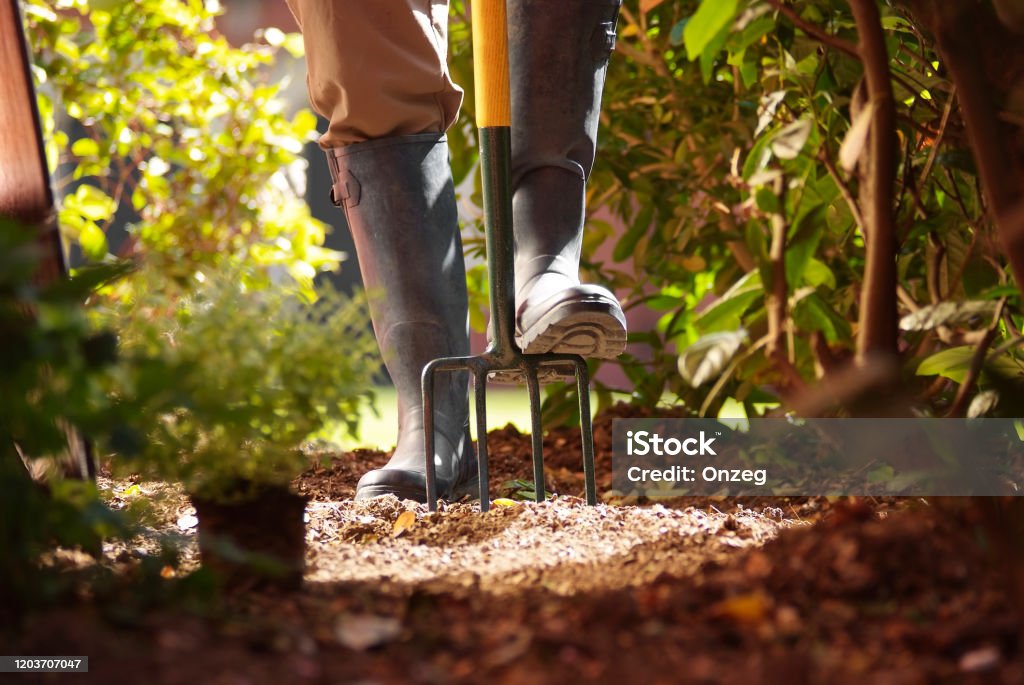 Titre professionnel Ouvrier de Production Horticole